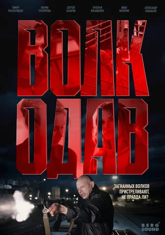Волкодав - постер
